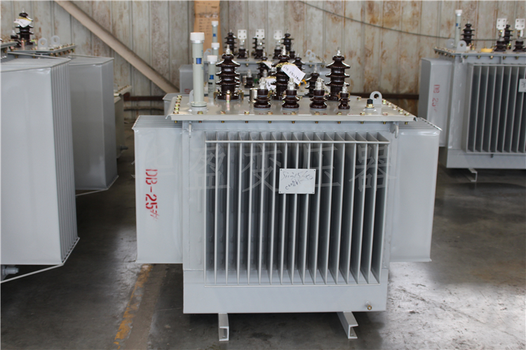 梅州S20-800kVA/10kV/0.4kV变压器